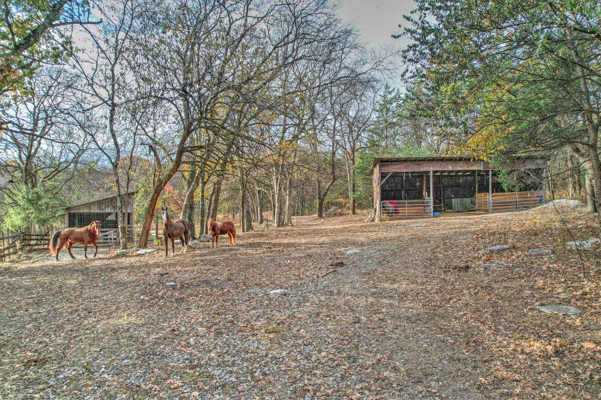 345 Wabash Road Mulberry, TN 37359 - Photo 52 of 63 a backyard of a house with large trees and outdoor seating