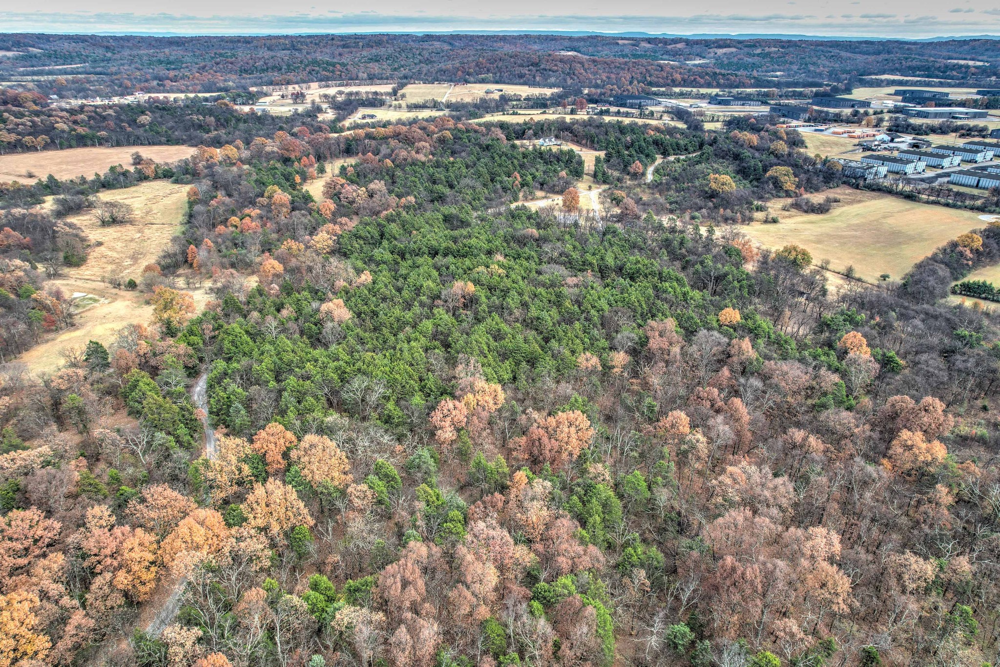 345 Wabash Road Mulberry, TN 37359 - Photo 62 of 63 an aerial view of residential houses with outdoor space and trees