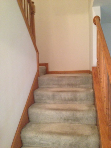 444 Wenbriar Square Addison, IL 60101 - Photo 13 of 23