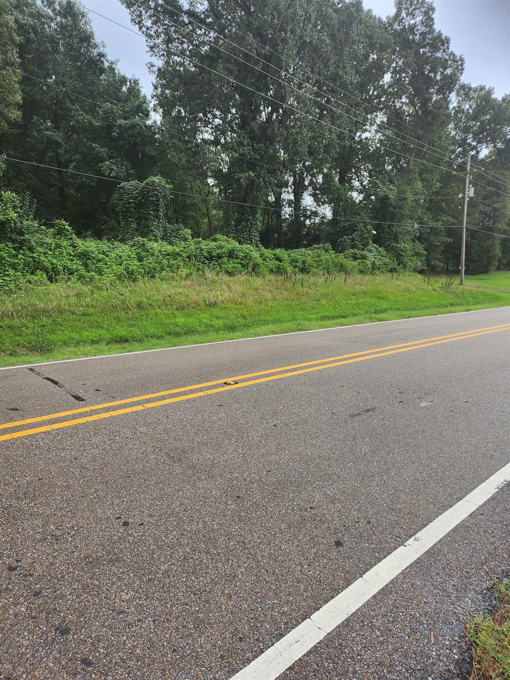 0 Tulane Road, Nesbit, MS 38651 Compass