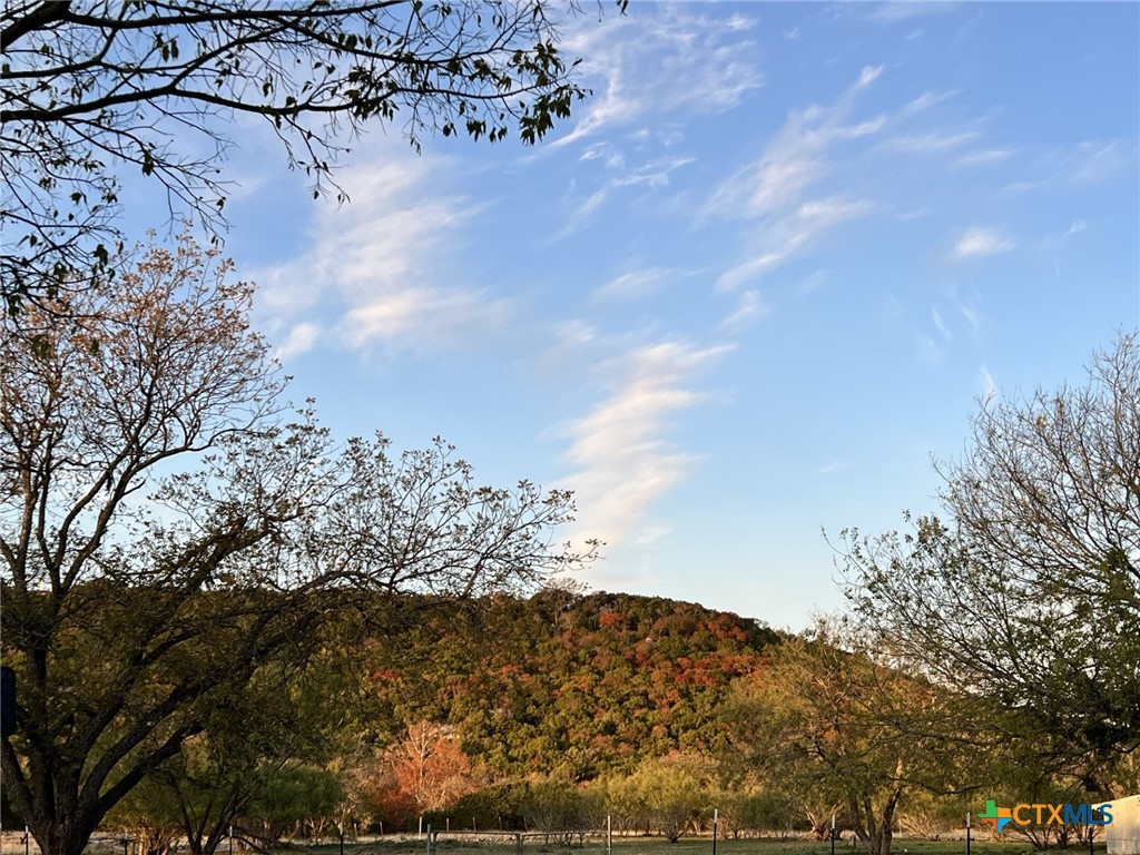 3499 County Road 154 Evant, TX 76525 - Photo 23 of 25