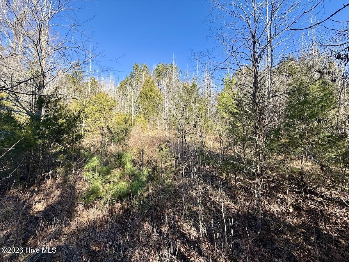 666 Solomon Road Leasburg, NC 27291 - Photo 46 of 49 48