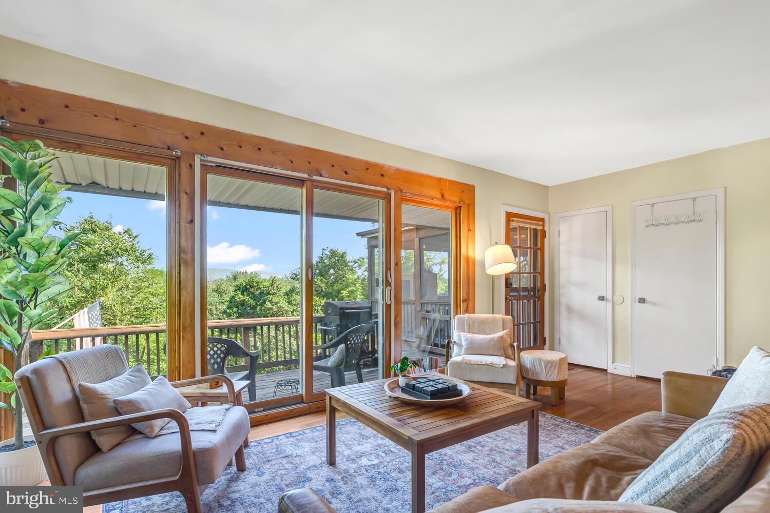 6235 South Page Valley Road Luray, VA 22835 - Photo 6 of 52 Serene retreat with nature views.