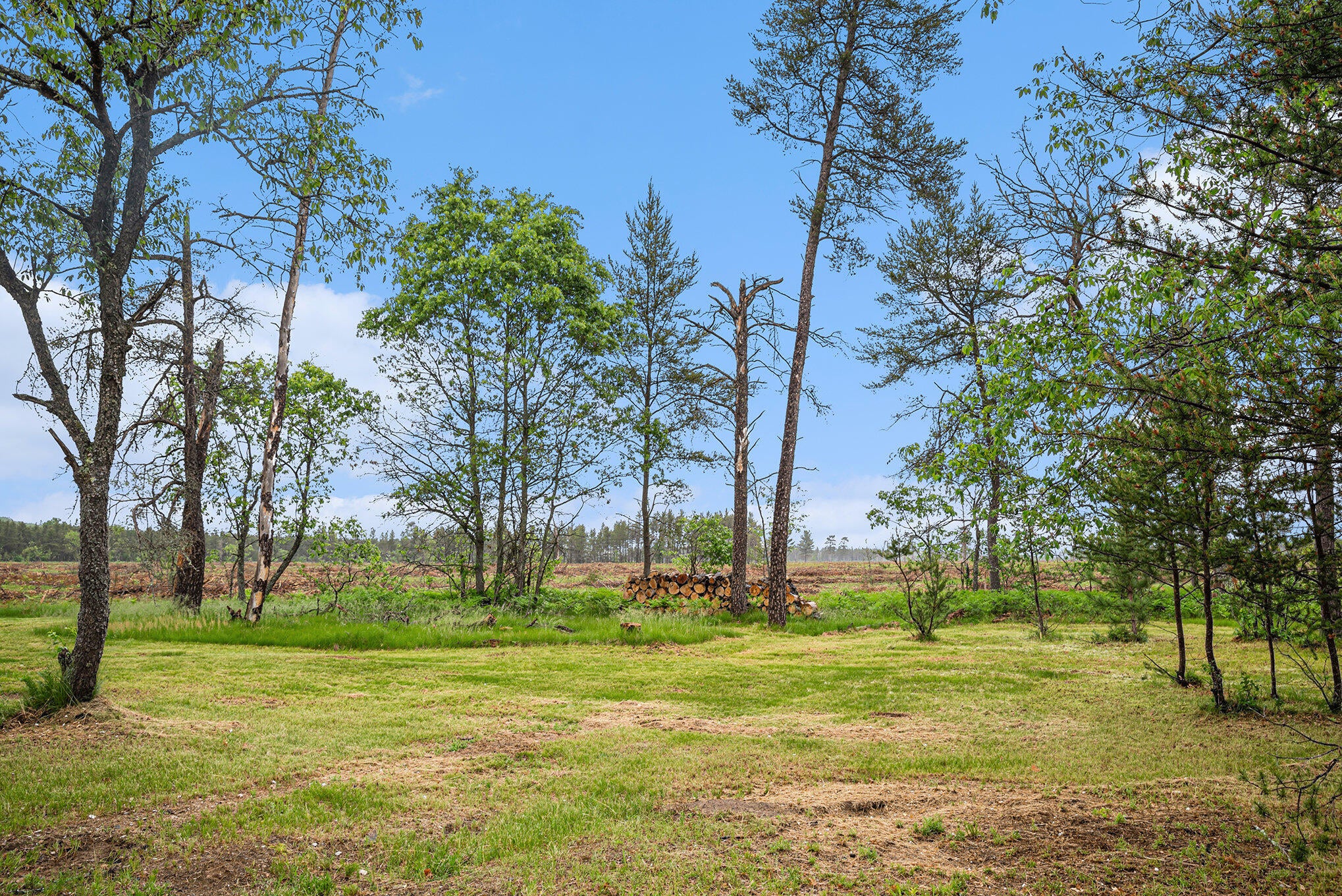 15905 Barber Road Southeast Grayling, MI 49738 - Photo 25 of 26 Gallery Image 25