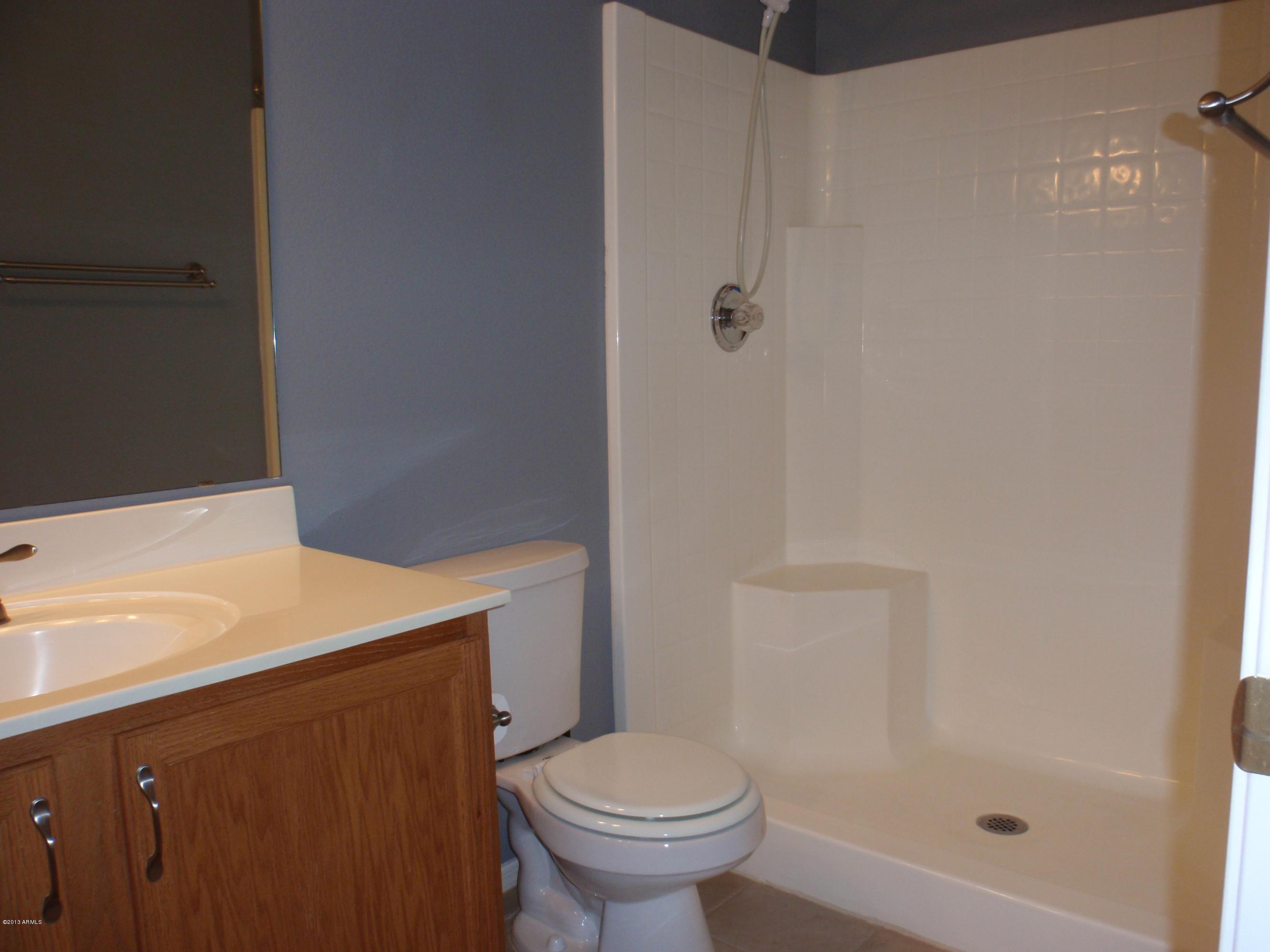 1763 East Sycamore Road Casa Grande, AZ 85122 - Photo 13 of 31 Guest bath