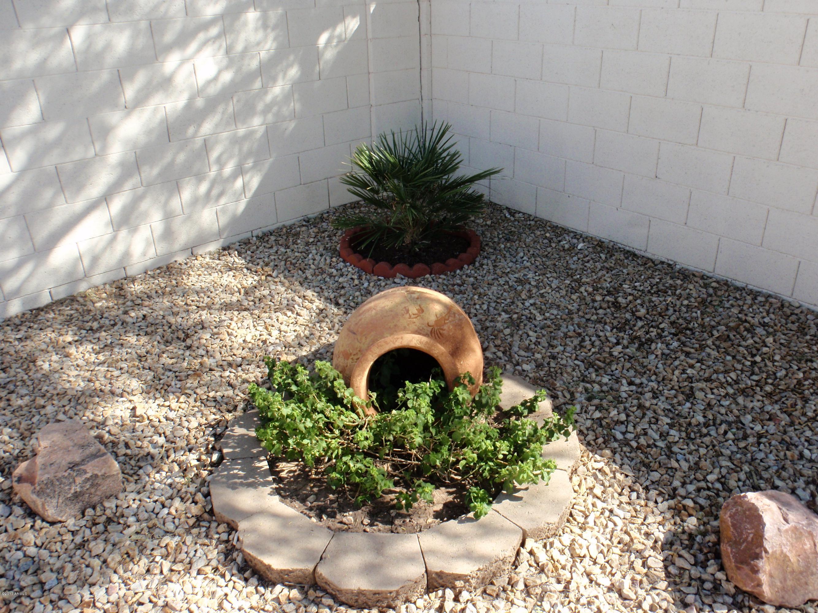 1763 East Sycamore Road Casa Grande, AZ 85122 - Photo 22 of 31 backyard 1