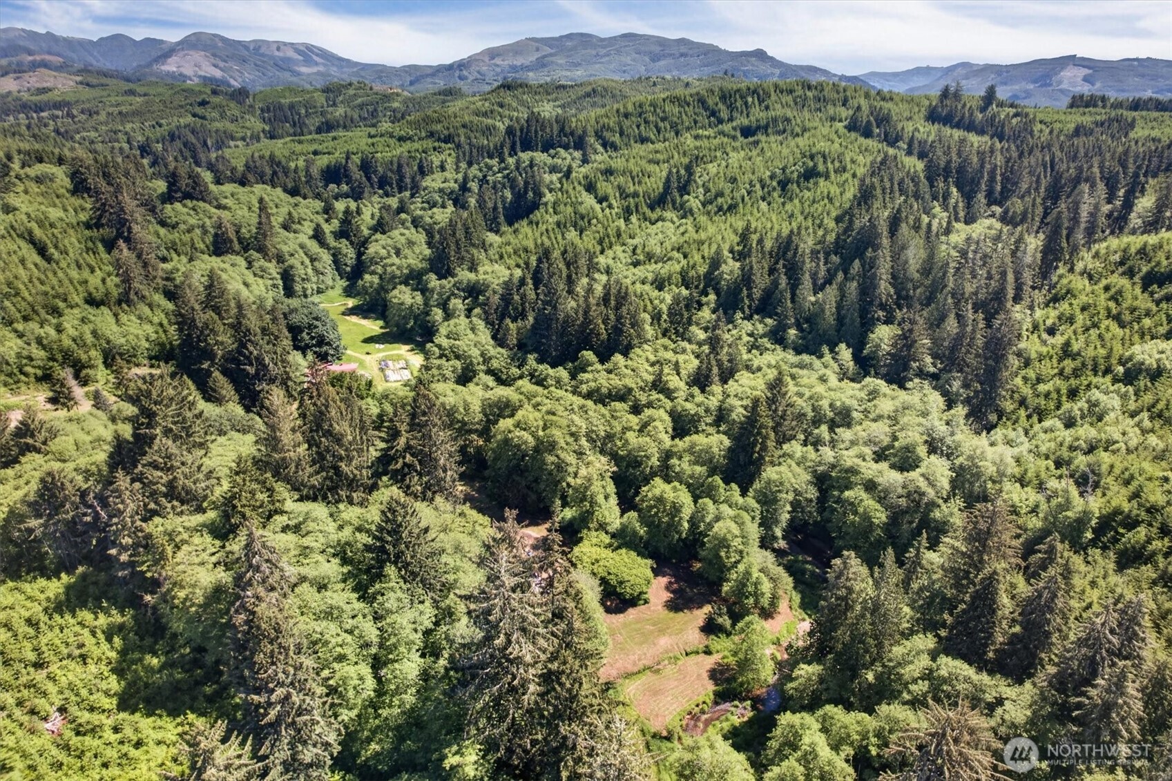 344 Hull Creek Road Grays River, WA 98621 - Photo 25 of 29