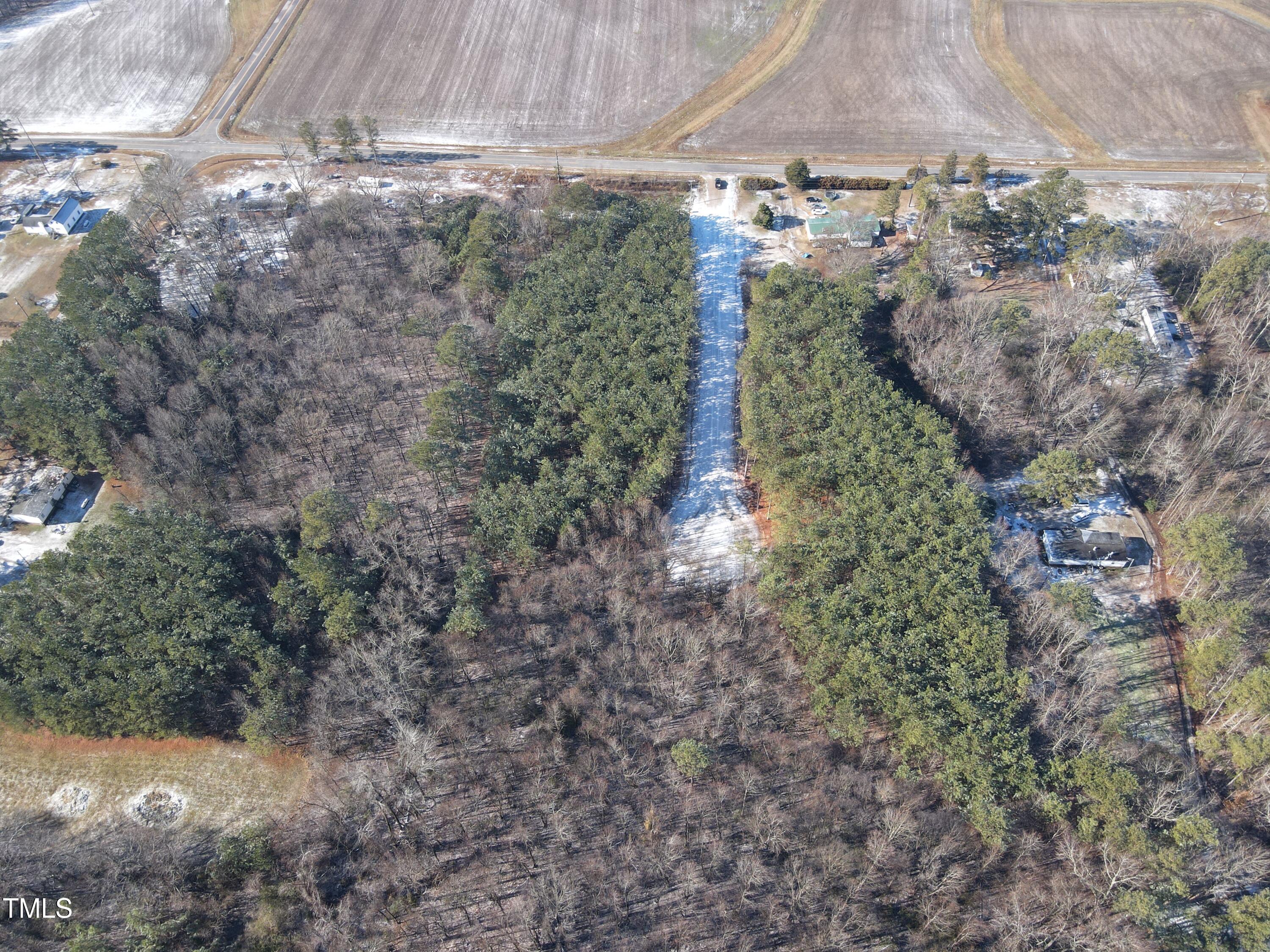 7 Copeland Way Spring Spring Hope, NC 27882 - Photo 4 of 5 a view of a forest with a dry yard