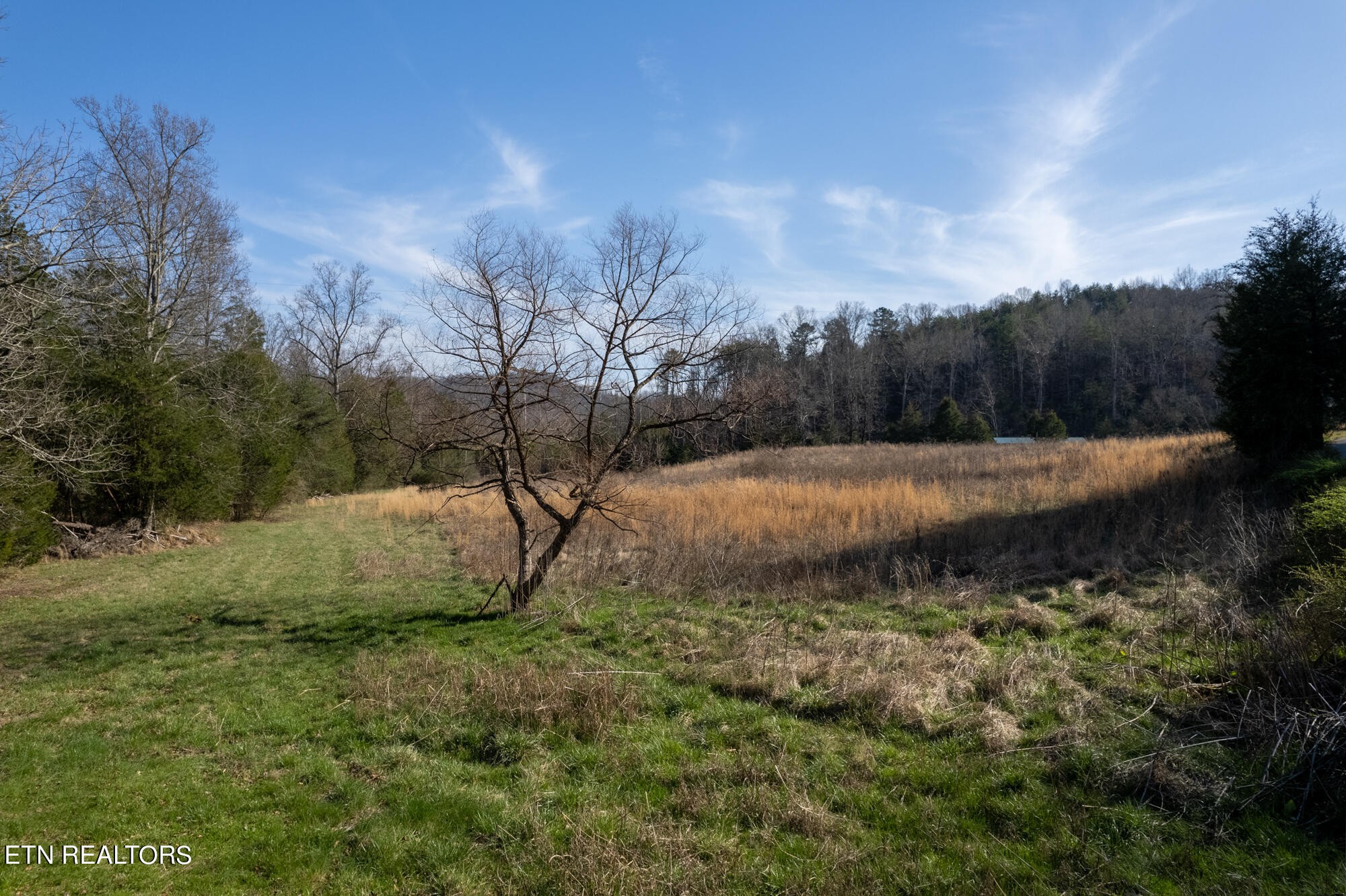 0 Bethlehem Road Madisonville, TN 37354 - Photo 11 of 12 Gallery Image 11