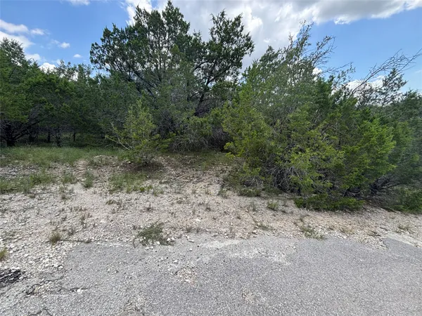 a view of a yard with a tree