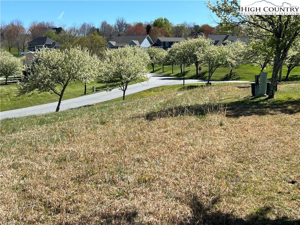 Lot 14-15 Meadowbrook Jefferson, NC 28640 - Photo 3 of 7 a view of a yard with a tree