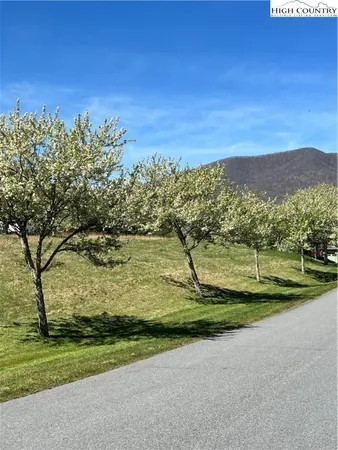 a view of a field with an trees