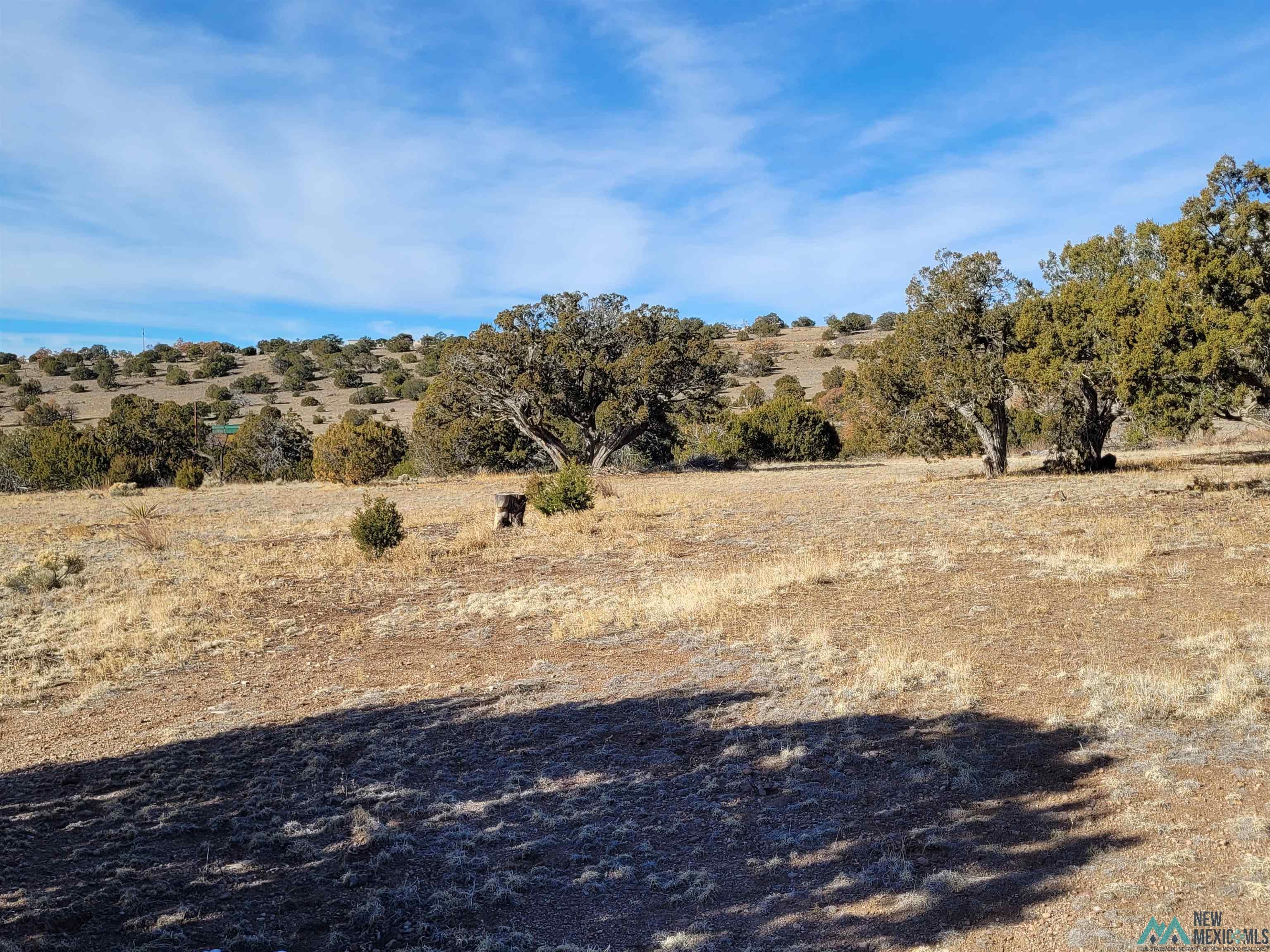 235 Sugarloaf Trail Datil, NM 87821 - Photo 2 of 48 Gallery Image 2