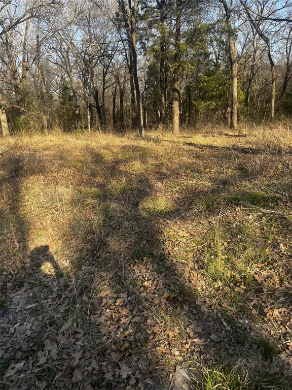 117 Inca Trail Mabank, TX 75156 - Photo 3 of 3