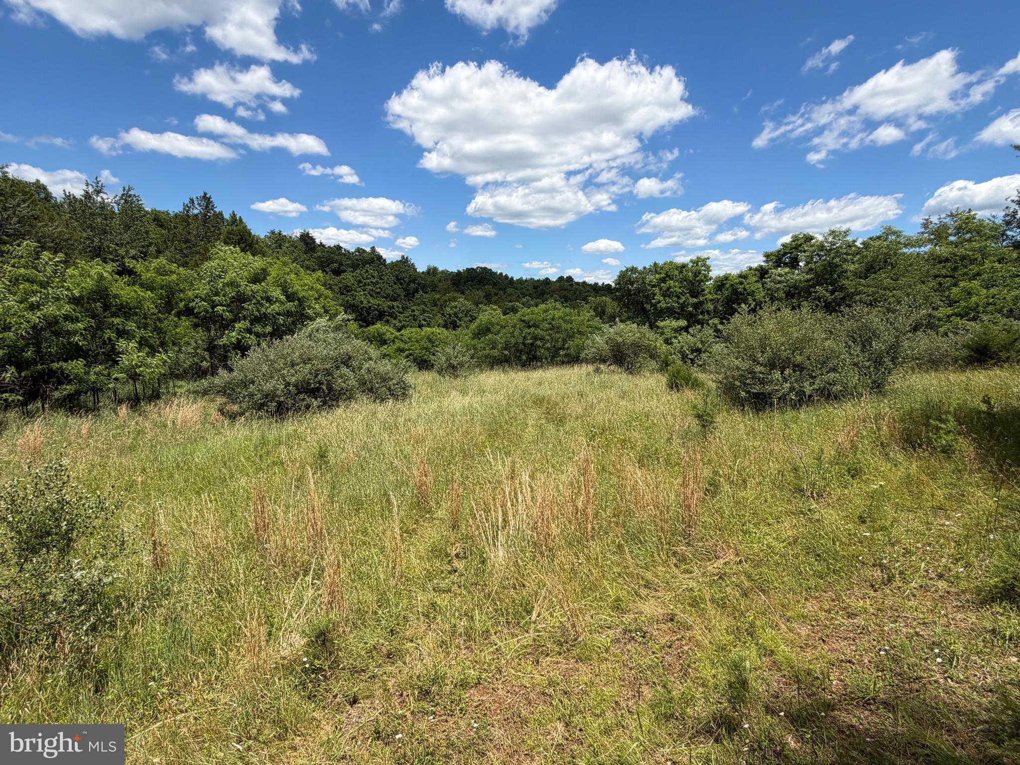 511 Chickadee Road Purgitsville, WV 26852 - Photo 20 of 99