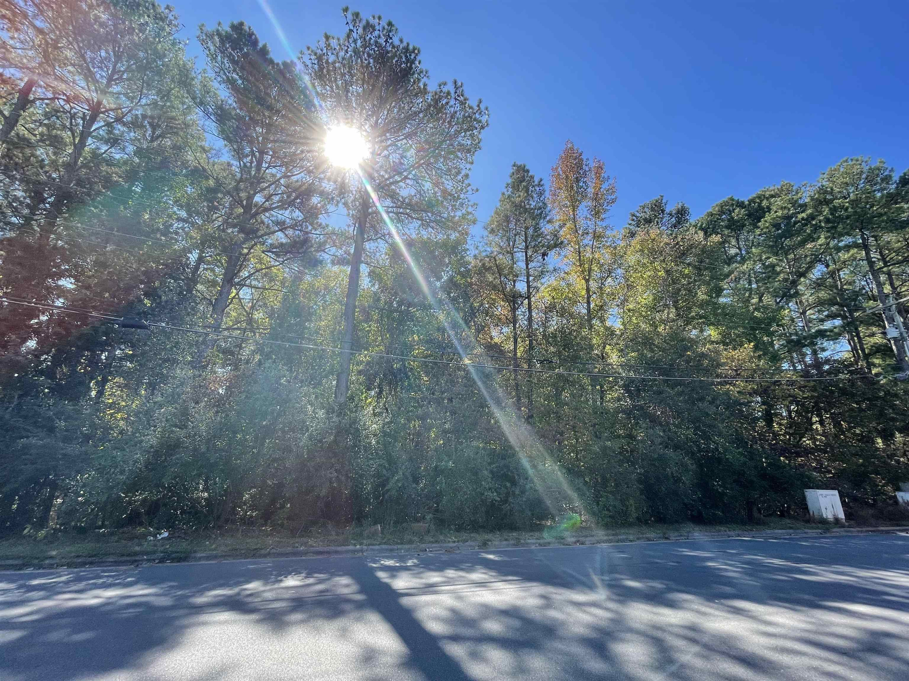 a view of backyard with green space