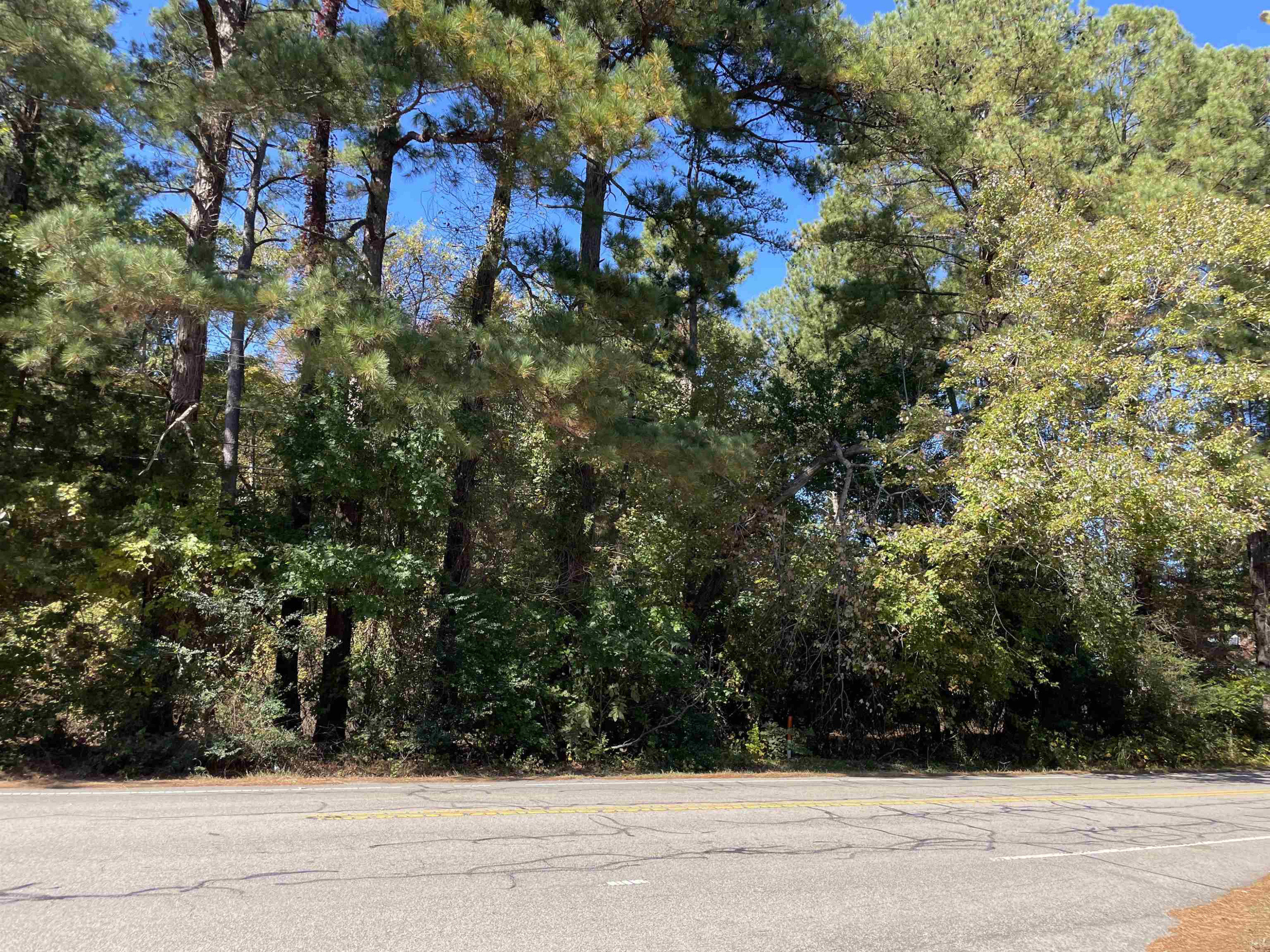 1900 Wimbish Lane Raleigh, NC 27612 - Photo 3 of 8 a view of a yard