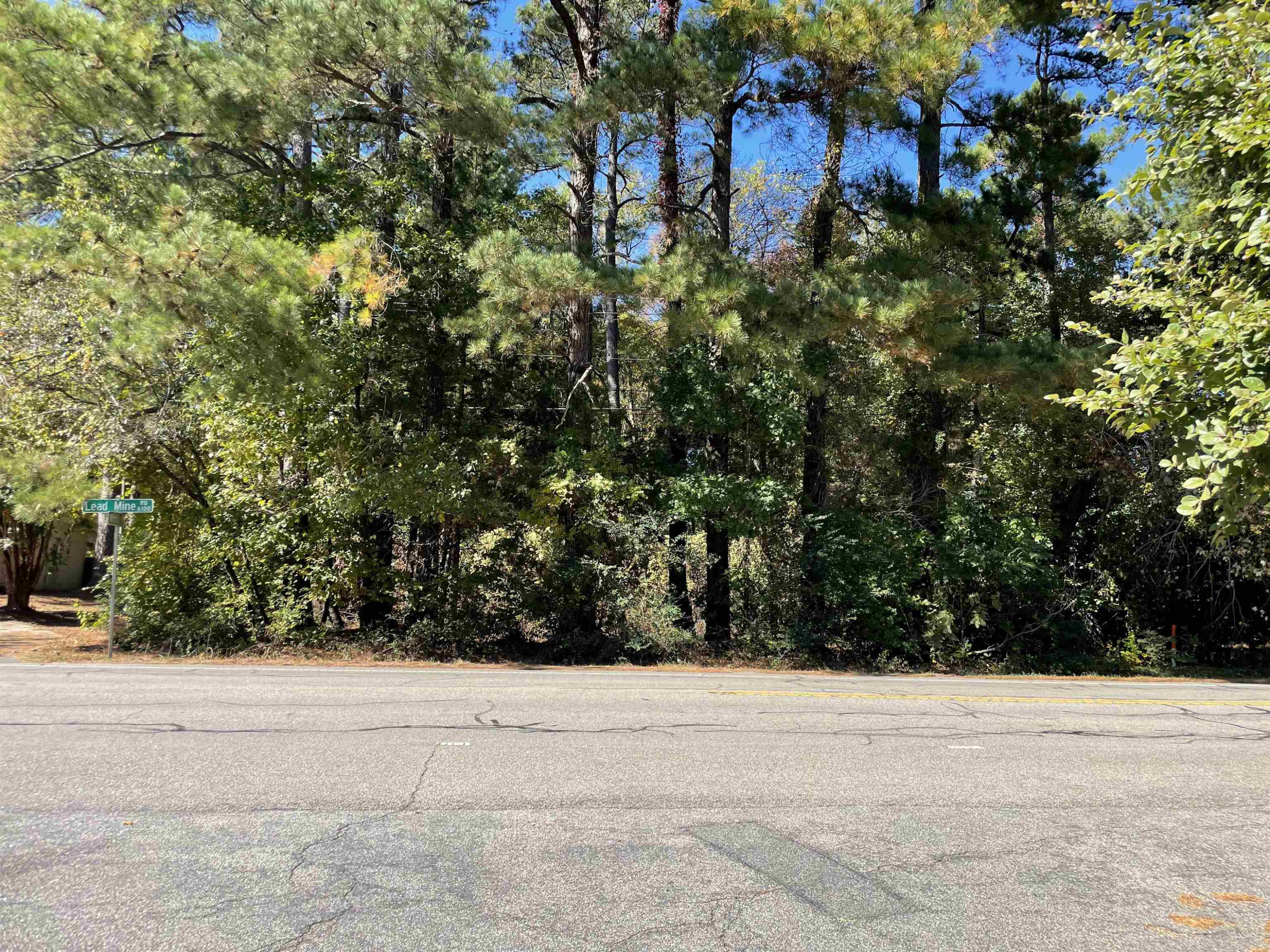 1900 Wimbish Lane Raleigh, NC 27612 - Photo 4 of 8 a view of a yard