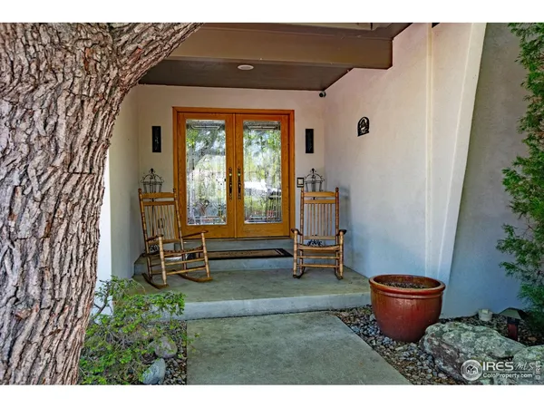 a room with furniture and a potted plant