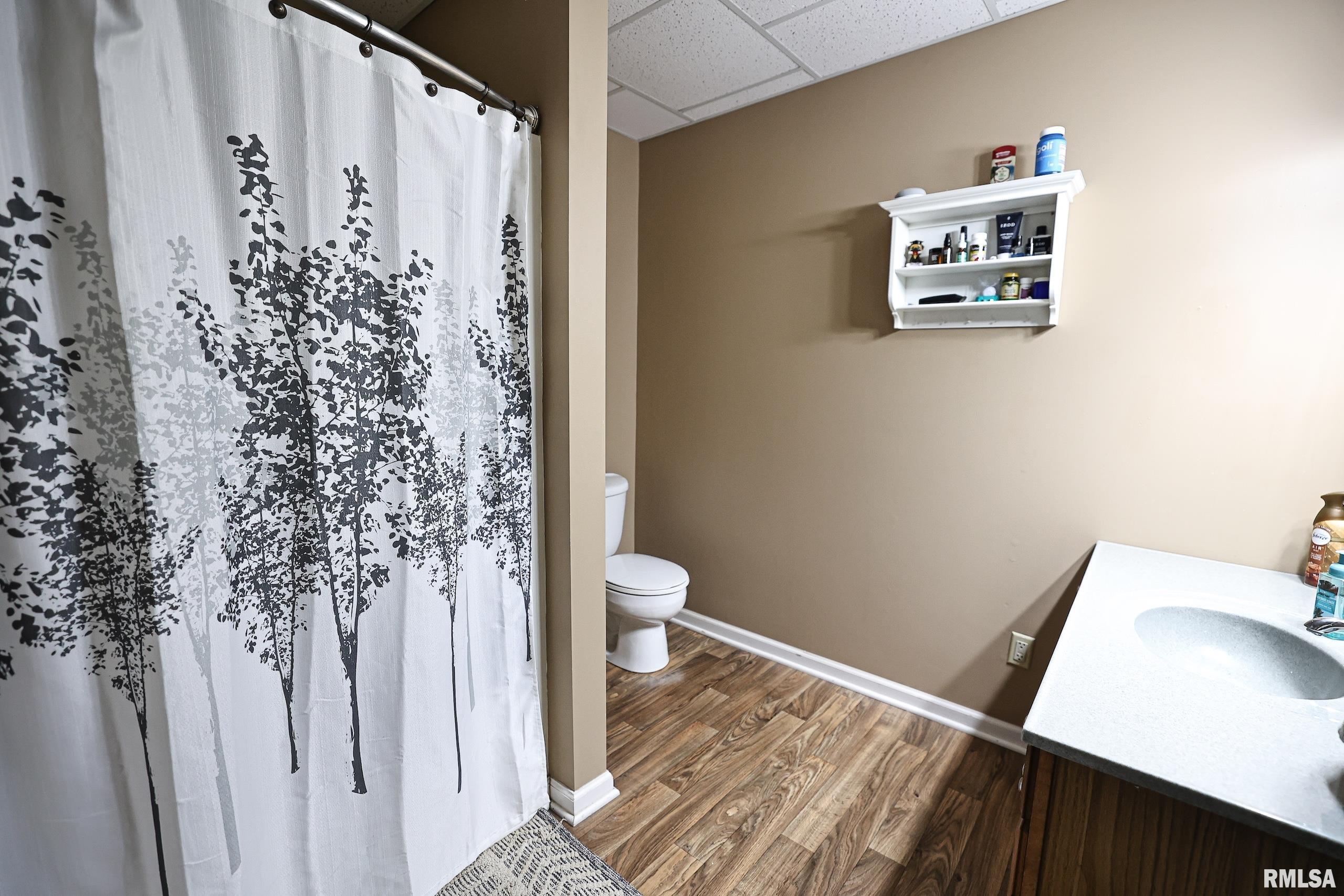 24080 287th Avenue Barry, IL 62312 - Photo 34 of 86