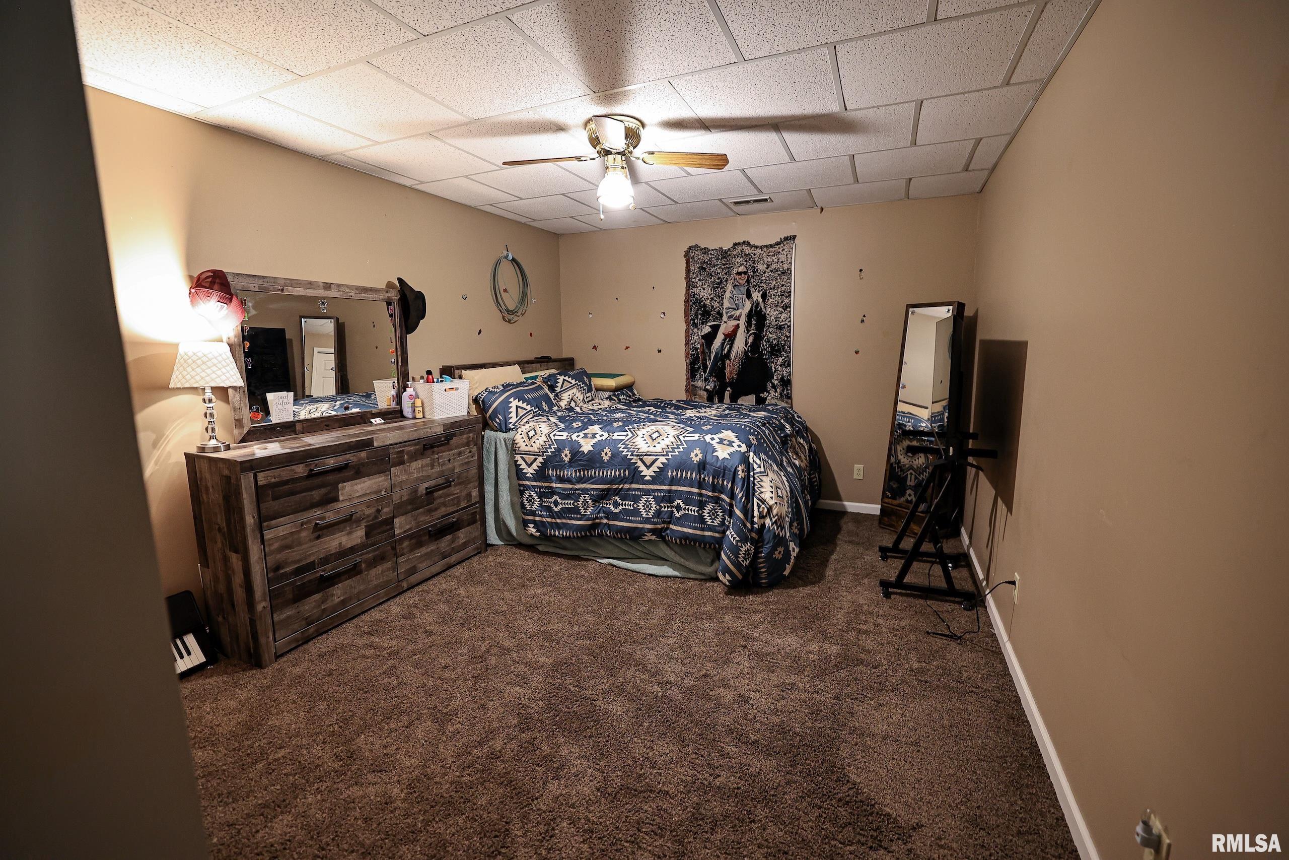 24080 287th Avenue Barry, IL 62312 - Photo 44 of 86