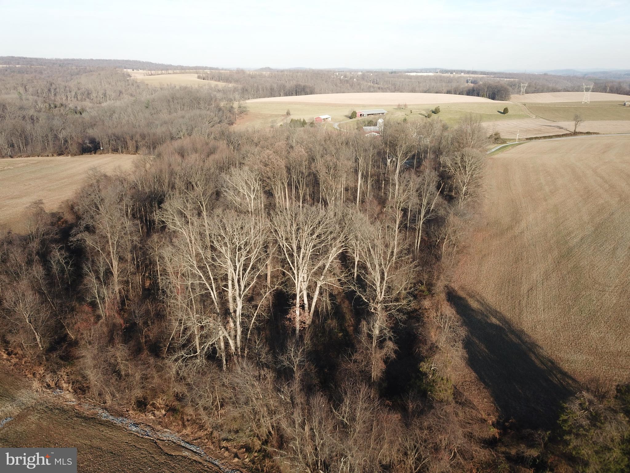 11563 Gum Tree Road Brogue, PA 17309 - Photo 13 of 38 Gallery Image 13