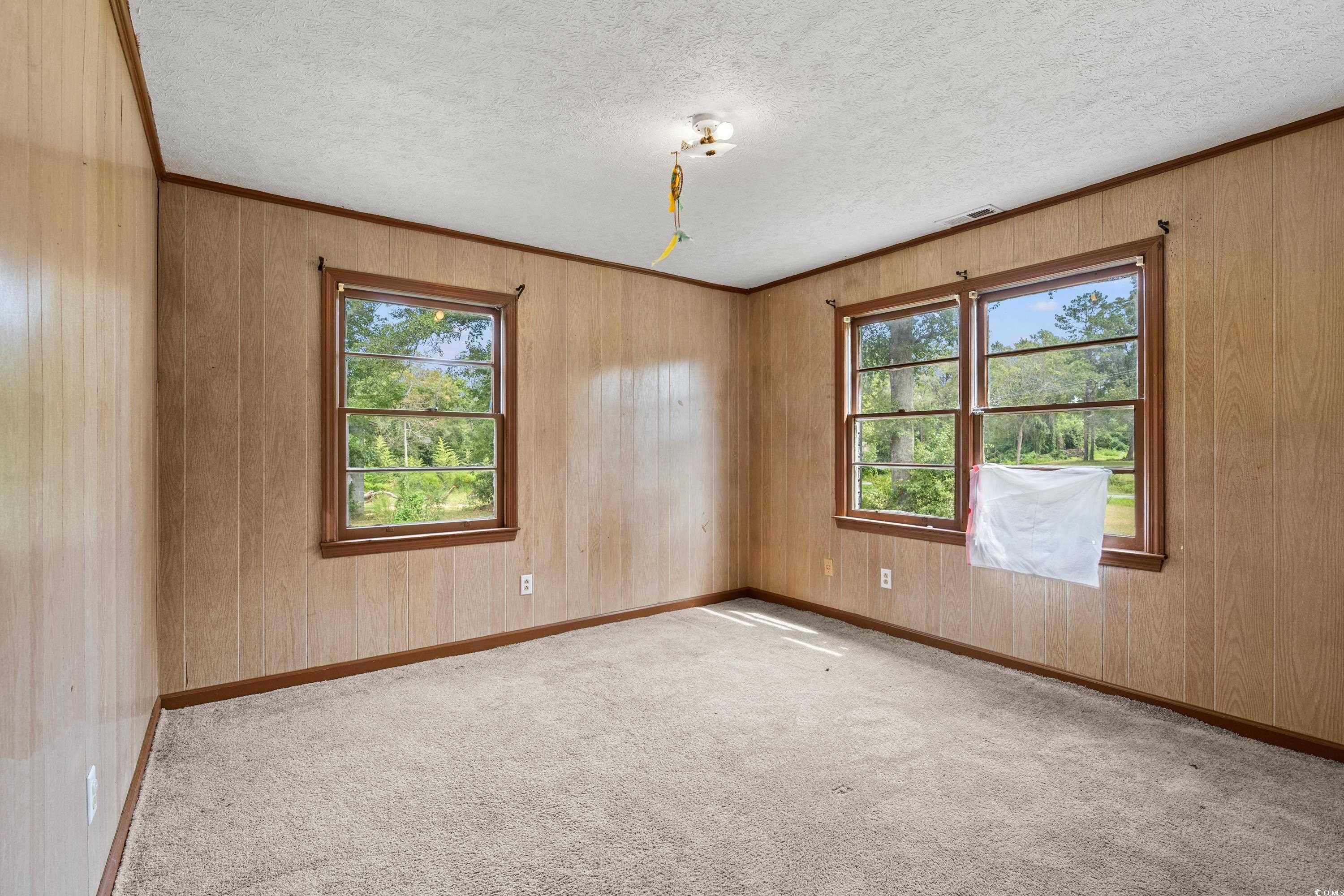 476 Live Oak Church Road Loris, SC 29569 - Photo 12 of 39 Empty room featuring wood walls, light carpet, and