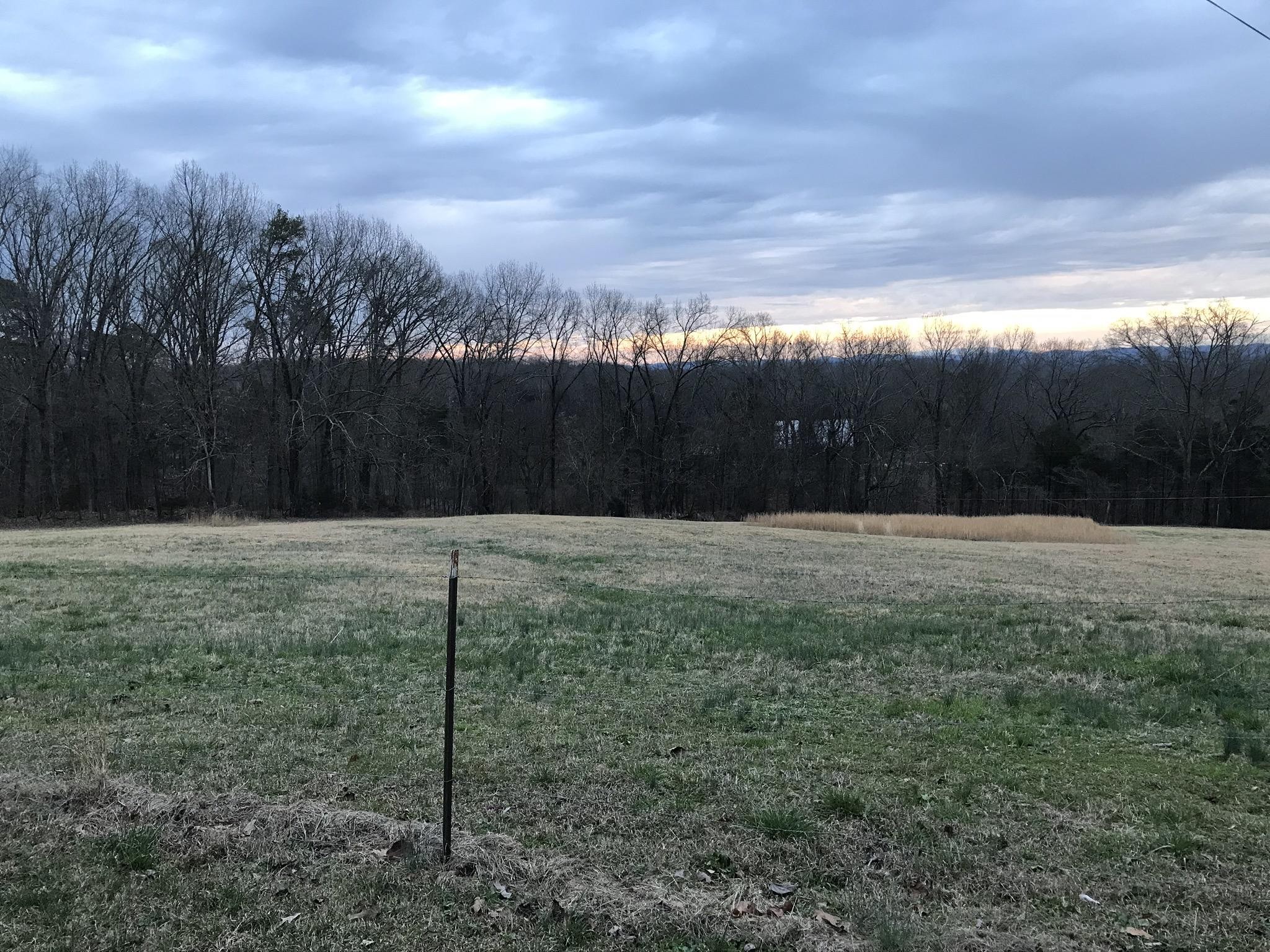 36053607 Hudson Road Mascot, TN 37806 - Photo 3 of 14 a view of backyard with green space
