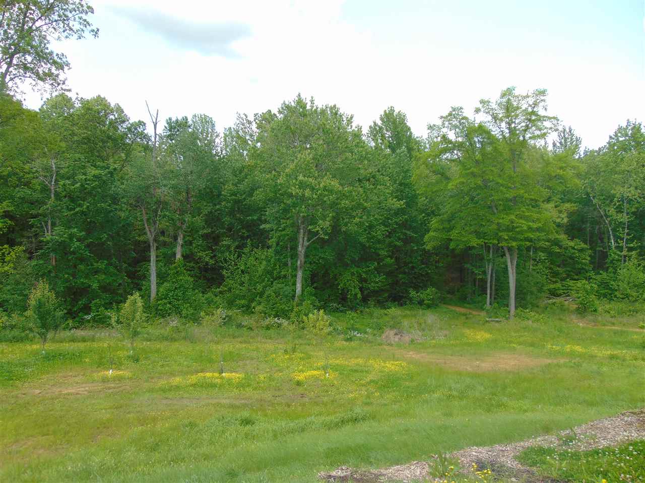 8587 Taylorville Road Tennyson, IN 47637 - Photo 1 of 13