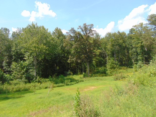 8587 Taylorville Road Tennyson, IN 47637 - Photo 2 of 13