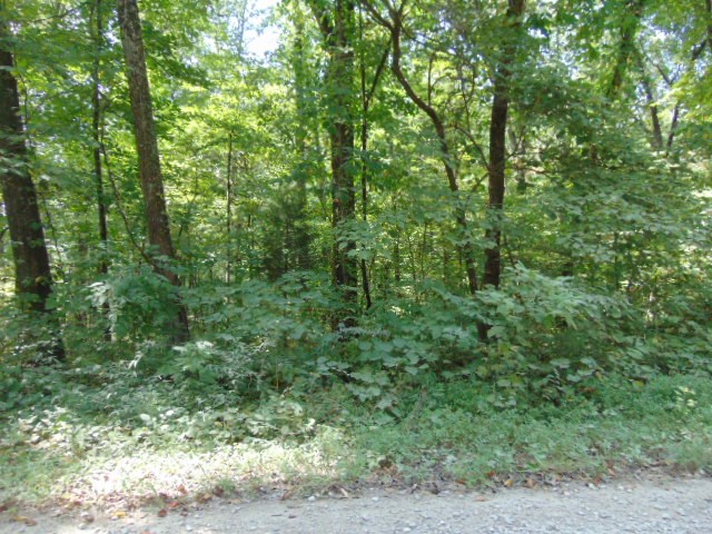 8587 Taylorville Road Tennyson, IN 47637 - Photo 11 of 13