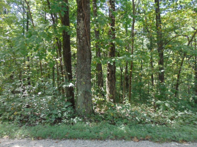 8587 Taylorville Road Tennyson, IN 47637 - Photo 12 of 13