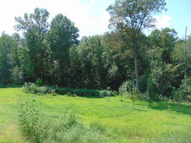 8587 Taylorville Road Tennyson, IN 47637 - Photo 3 of 13