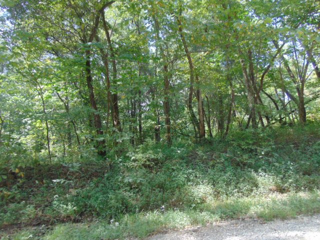 8587 Taylorville Road Tennyson, IN 47637 - Photo 6 of 13