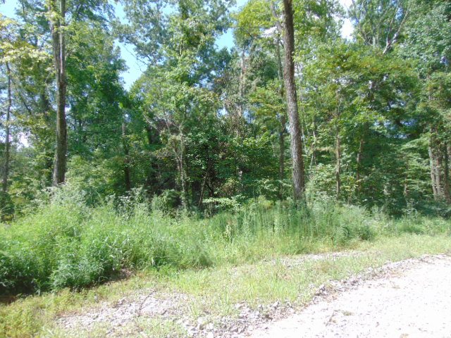 8587 Taylorville Road Tennyson, IN 47637 - Photo 10 of 13