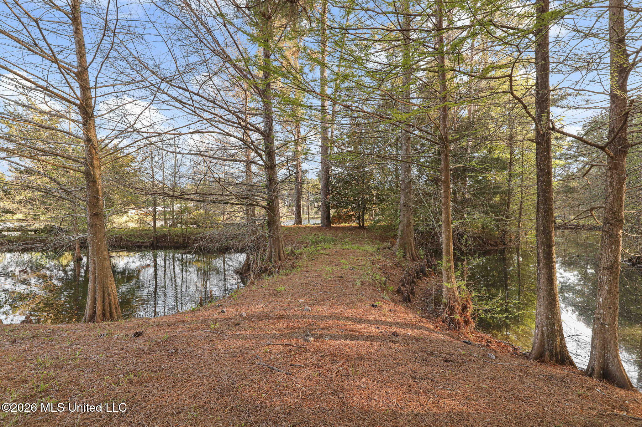185 West Neal Road Florence, MS 39073 - Photo 59 of 77 69-web-or-mls-185 Neal Rd W-69