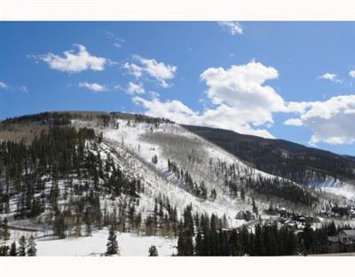 1230 Lions Ridge Loop, Unit 2B Vail, CO 81657 - Photo 12 of 12 Additional Photo