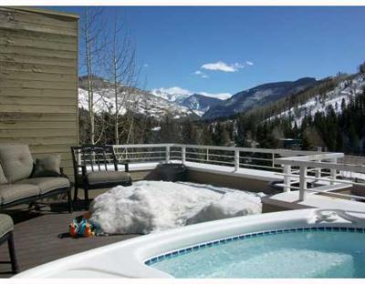 1230 Lions Ridge Loop, Unit 2B Vail, CO 81657 - Photo 8 of 12 Additional Photo