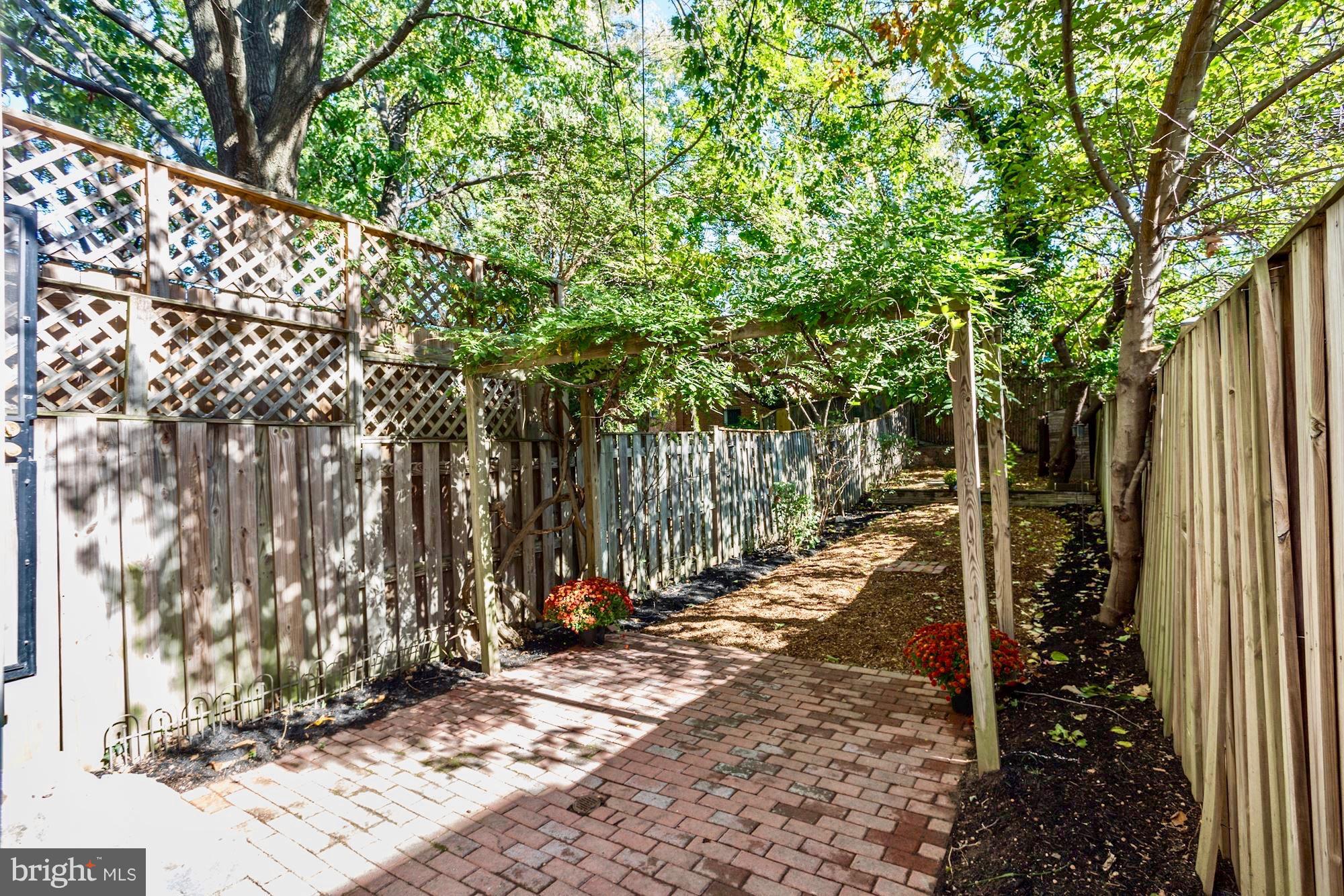425 5th Street Northeast Washington, DC 20002 - Photo 11 of 21 a view of a backyard with trees