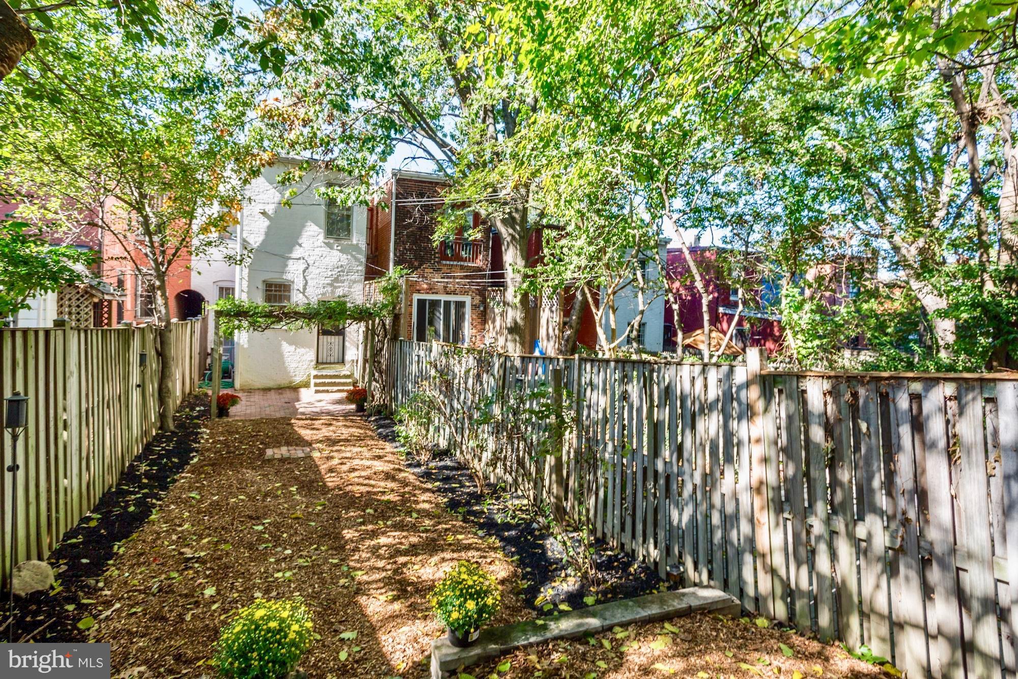 425 5th Street Northeast Washington, DC 20002 - Photo 12 of 21 a view of a large yard with plants and large trees