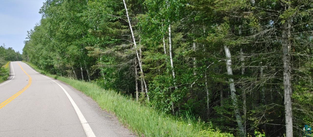 Xxx Fernberg Road Ely, MN 55731 - Photo 3 of 24 View of road