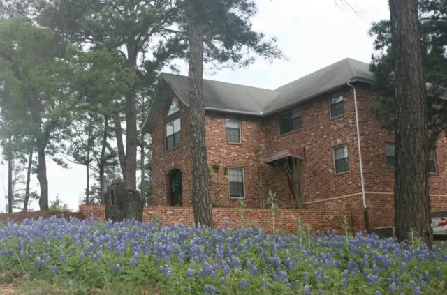 a yellow house with trees in front of it