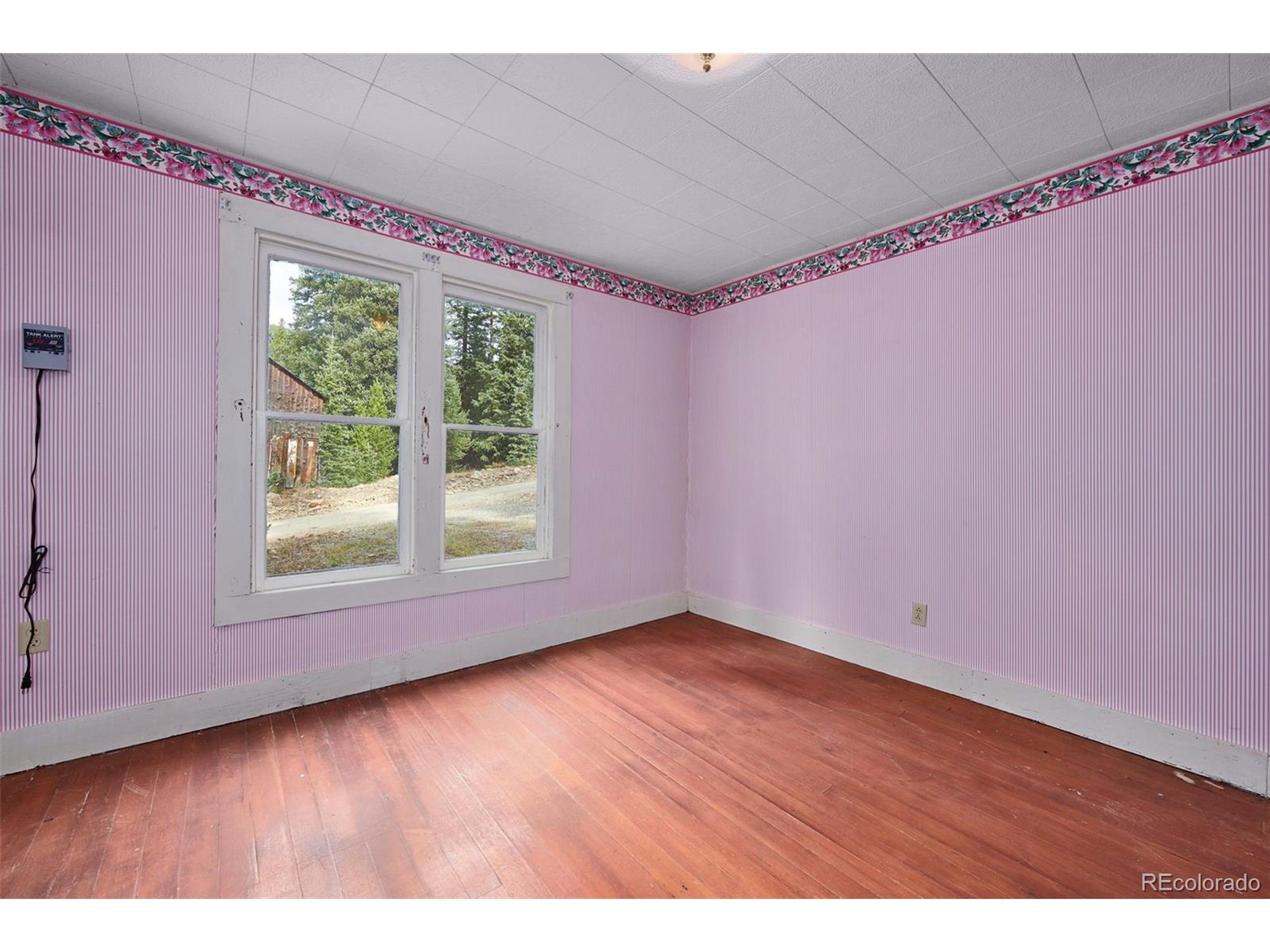 6007 Apex Valley Road Idaho Springs, CO 80452 - Photo 17 of 23 Gallery Image 17