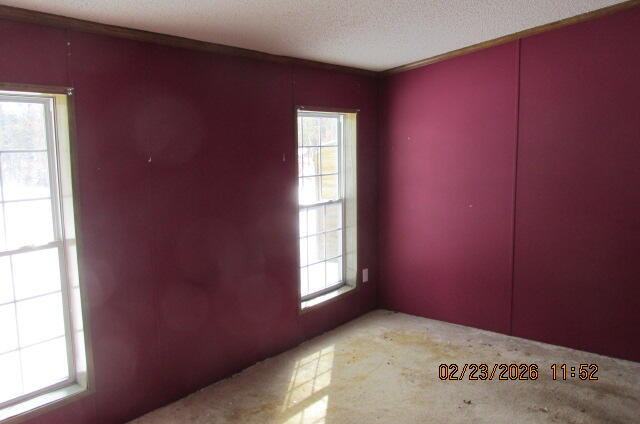 8990 South Crosby Road Idlewild, MI 49642 - Photo 31 of 43 IMG_0010