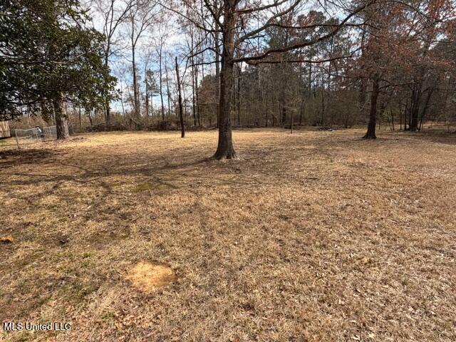5044 Mathis Road Crystal Springs, MS 39059 - Photo 25 of 26 IMG_4736