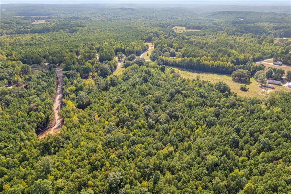 Tract1 Vinson Mountain Road Rockmart, GA 30153 - Photo 8 of 12