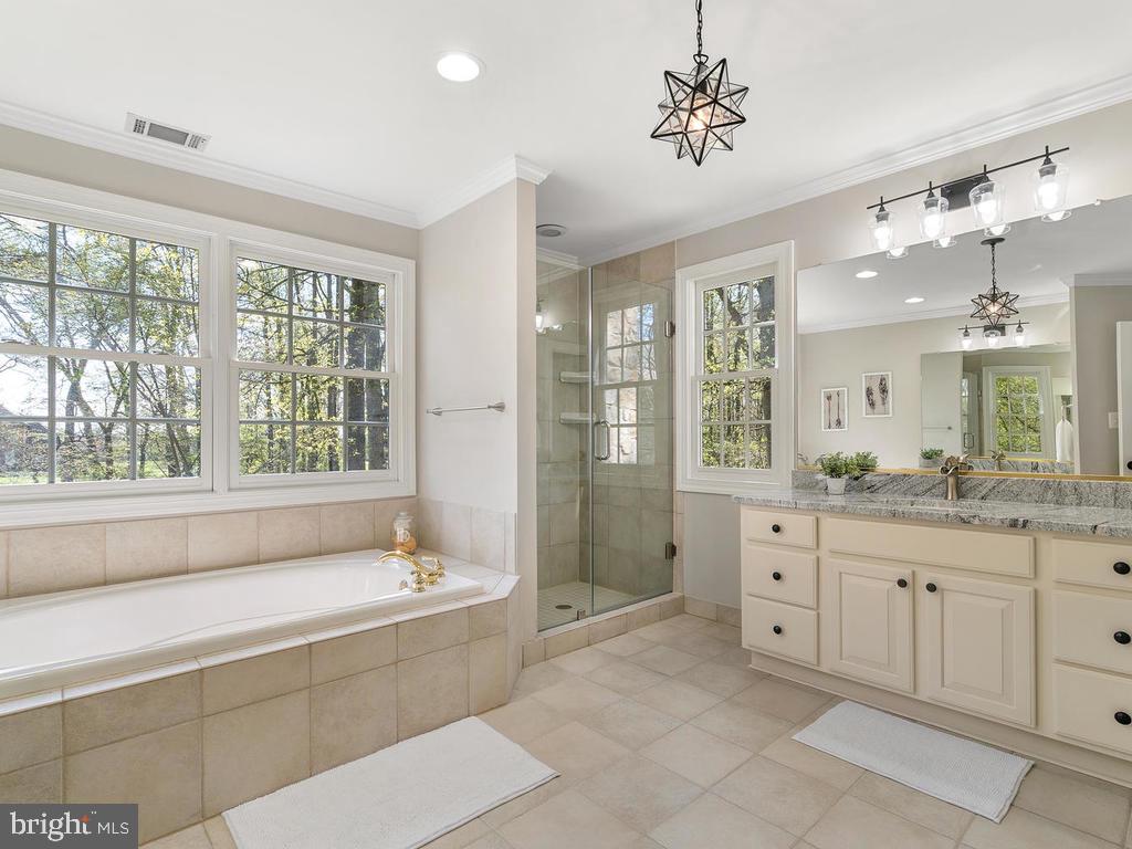 21512 Ripplemead Drive Laytonsville, MD 20882 - Photo 43 of 77 Spa style En-suite bathroom