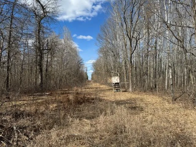 $469,900 | 24051 324th Street, Sebeka, MN 56477