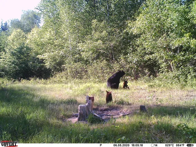 $469,900 | 24051 324th Street, Sebeka, MN 56477