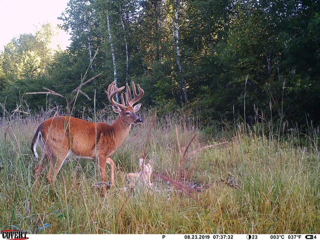 $469,900 | 24051 324th Street, Sebeka, MN 56477